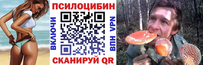 Галлюциногенные грибы мухоморы  нарко площадка официальный сайт  Краснослободск 