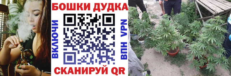 Бошки Шишки индика Краснослободск